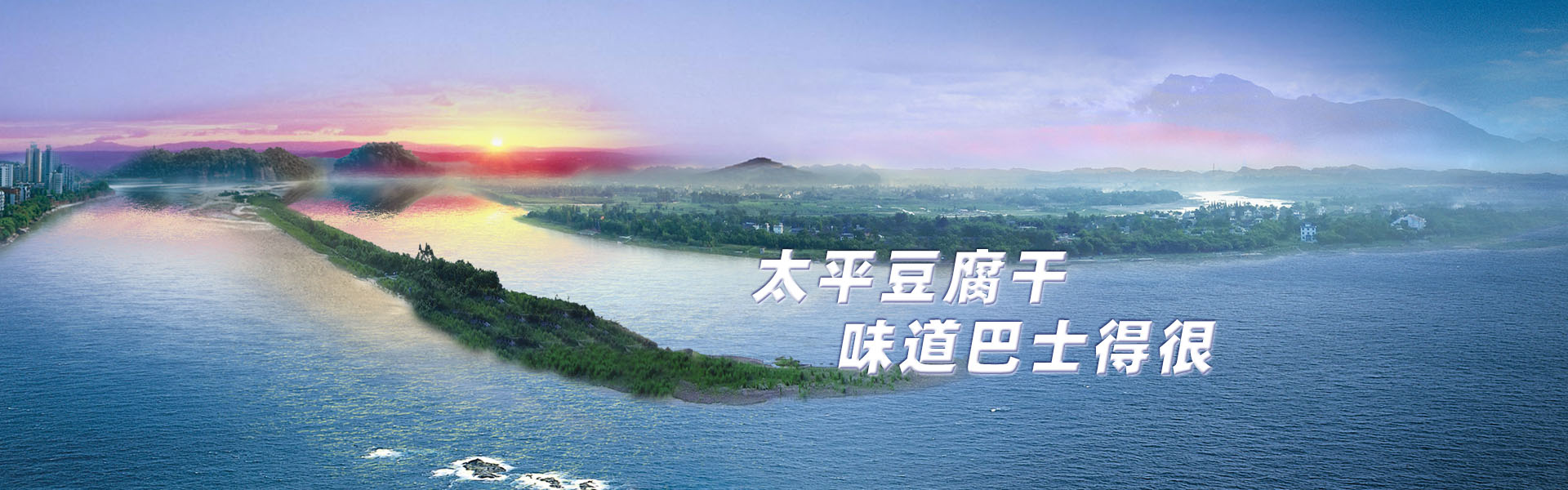 太平豆腐干味道巴士得很