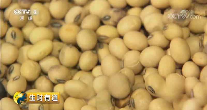 精选本地黄豆